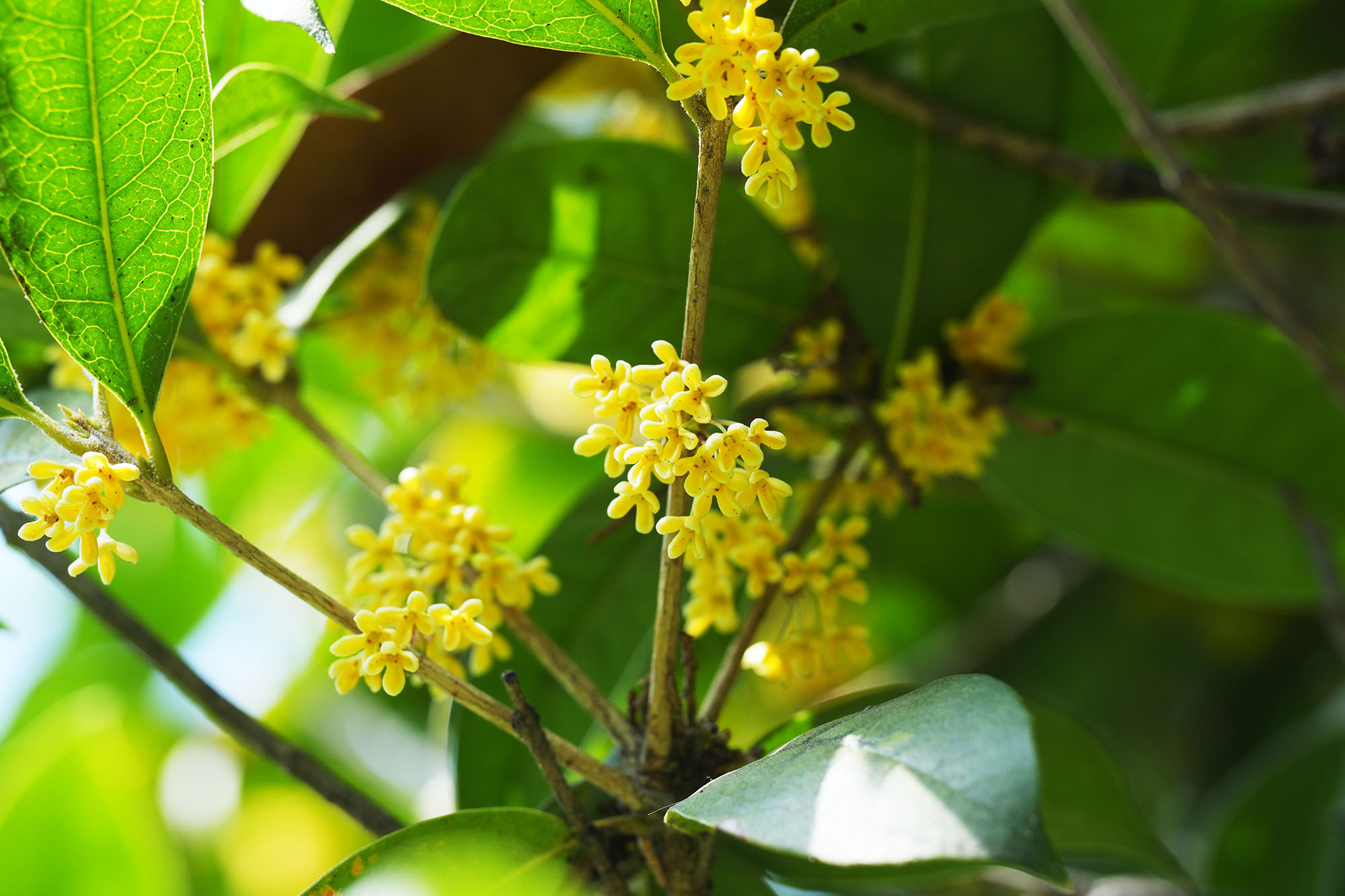 1win·(中国区)官方网站