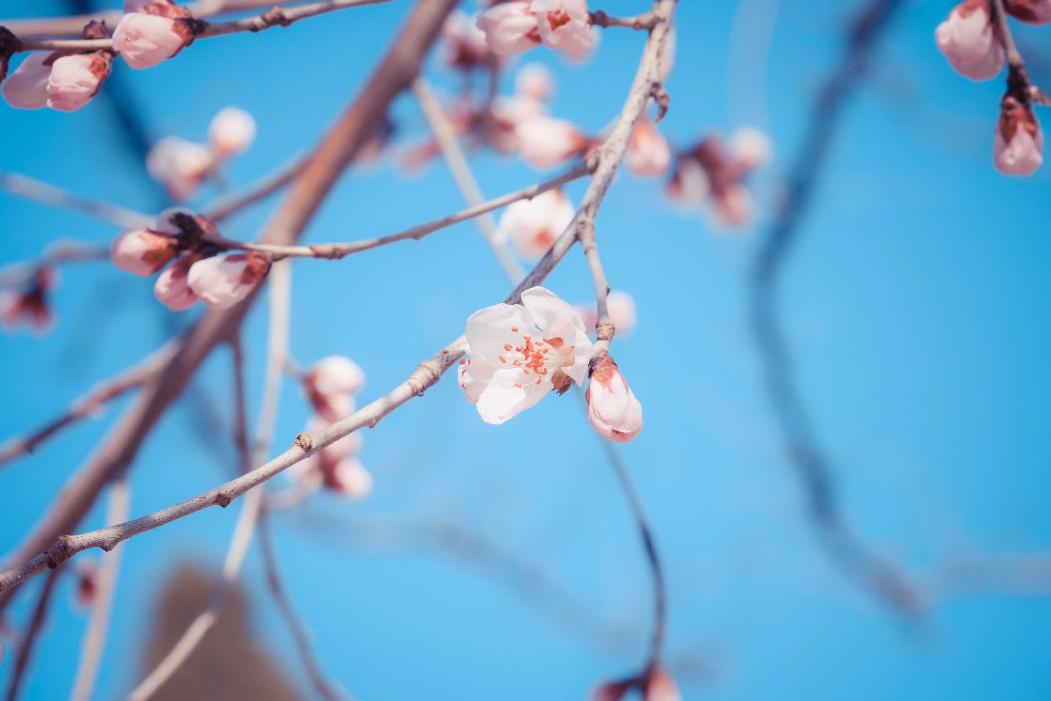 1win·(中国区)官方网站